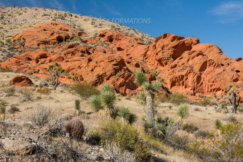 Rock-Formations-825.jpg