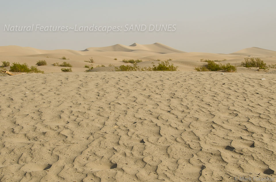 Sand-Dunes-1.jpg