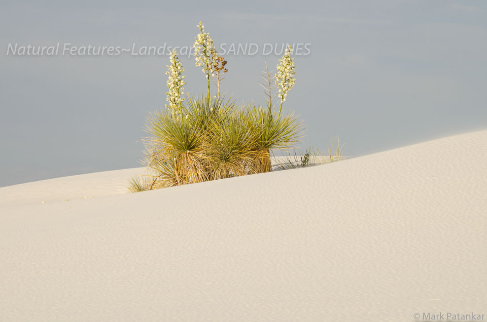 Sand-Dunes-100.jpg