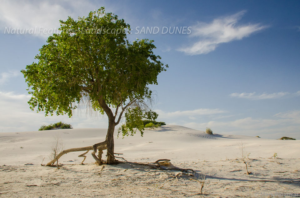 Sand-Dunes-101.jpg