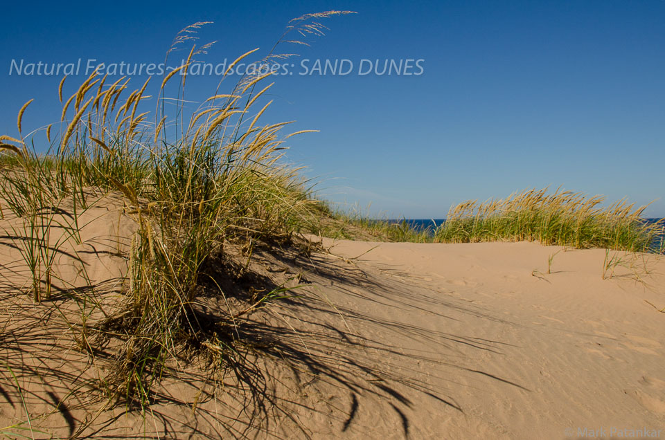 Sand-Dunes-11.jpg