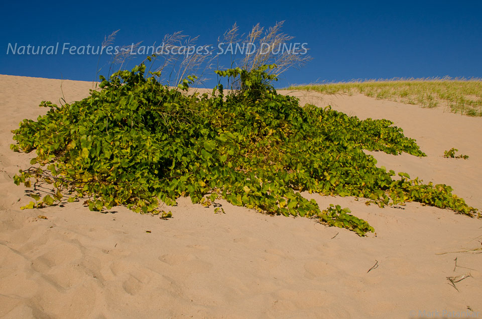 Sand-Dunes-12.jpg