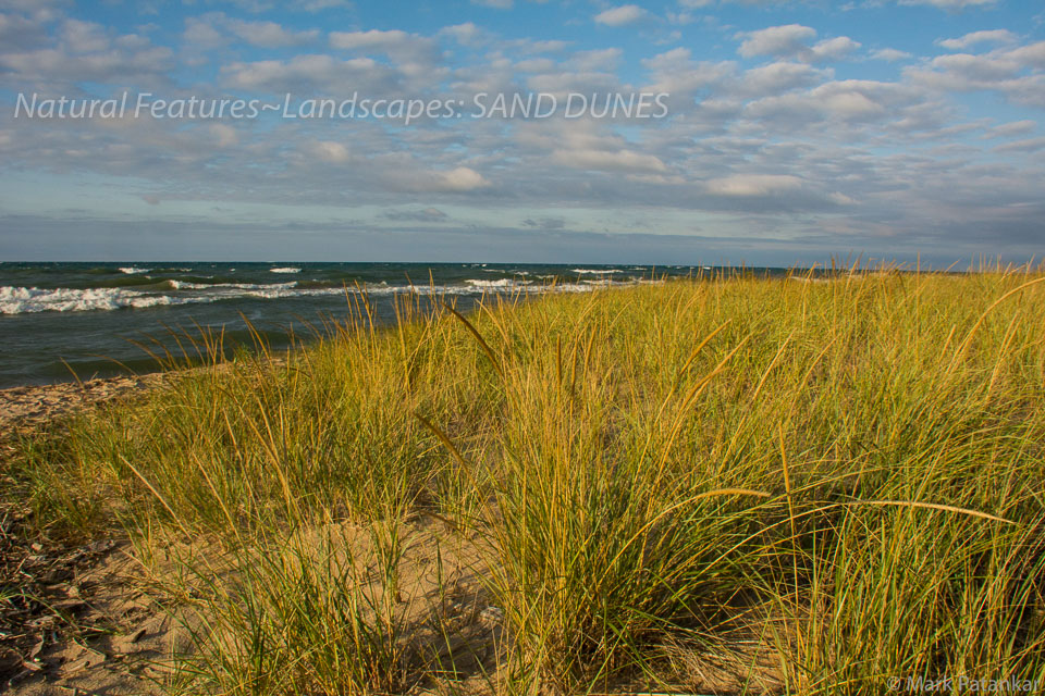 Sand-Dunes-120.jpg