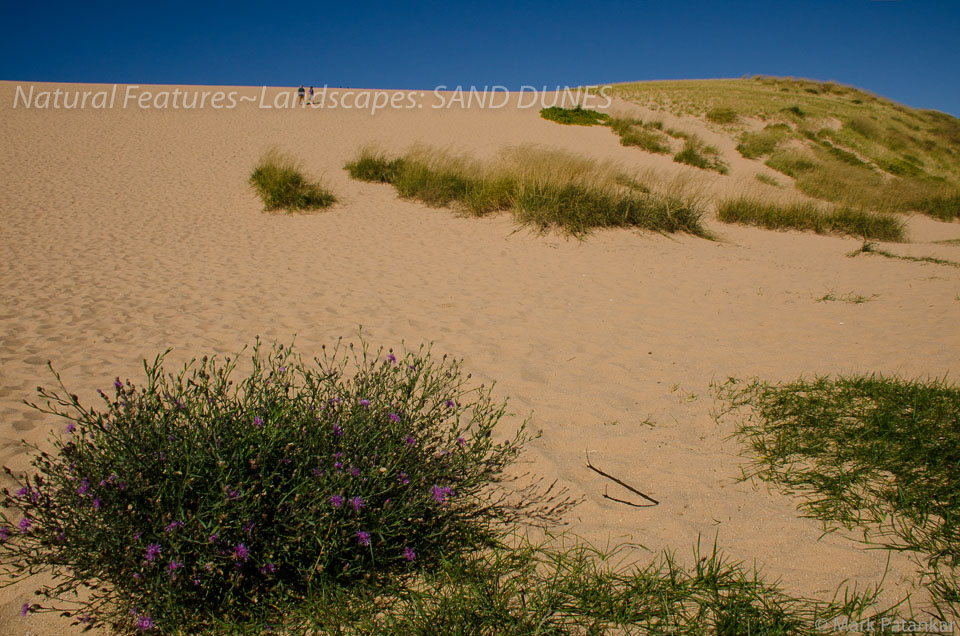 Sand-Dunes-13.jpg