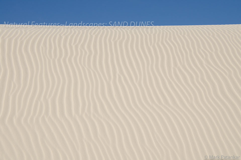 Sand-Dunes-14.jpg