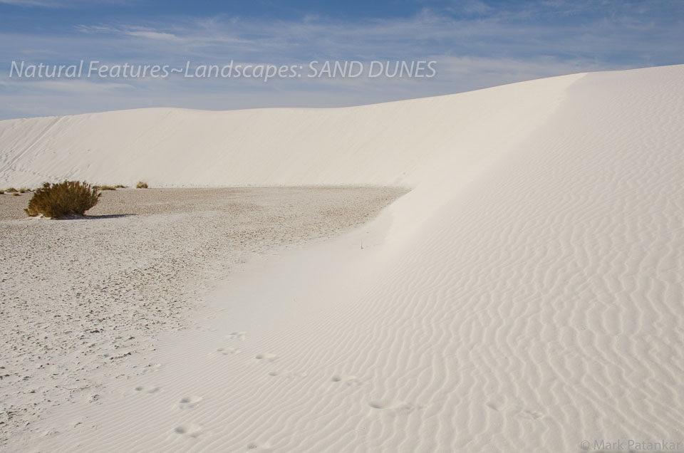 Sand-Dunes-16.jpg