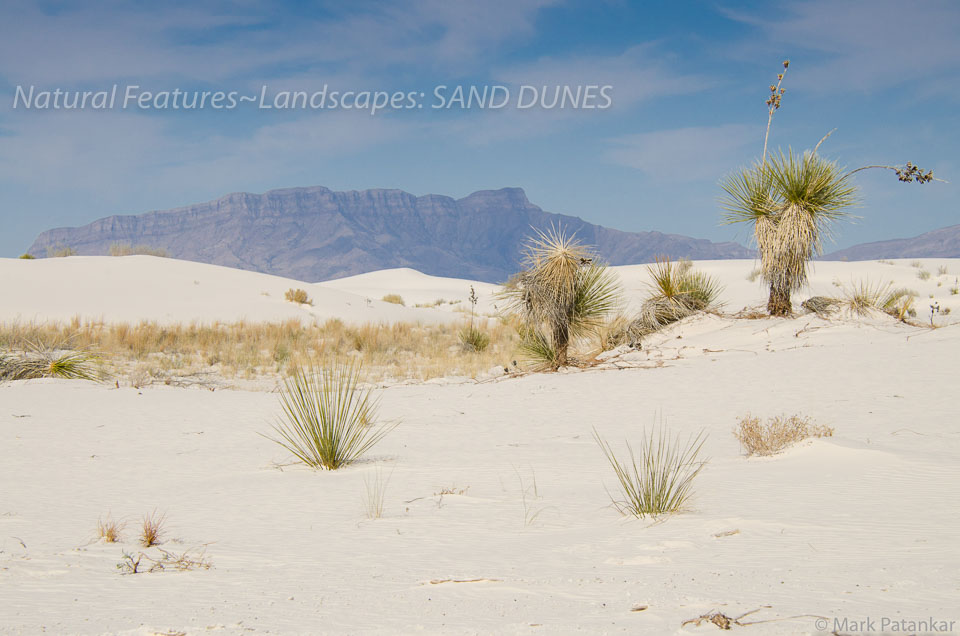 Sand-Dunes-21.jpg