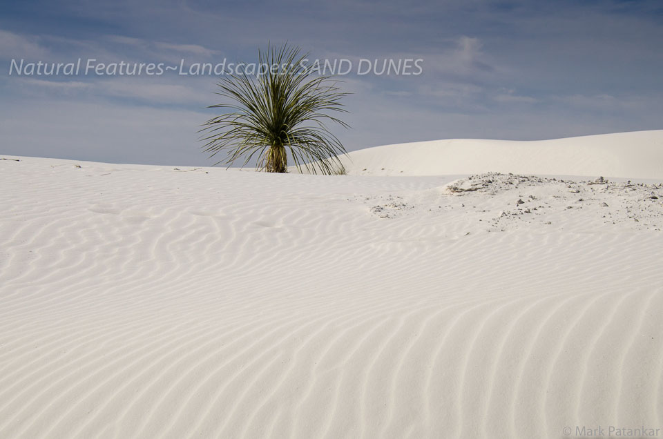 Sand-Dunes-23.jpg