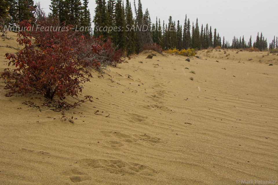 Sand-Dunes-36.jpg