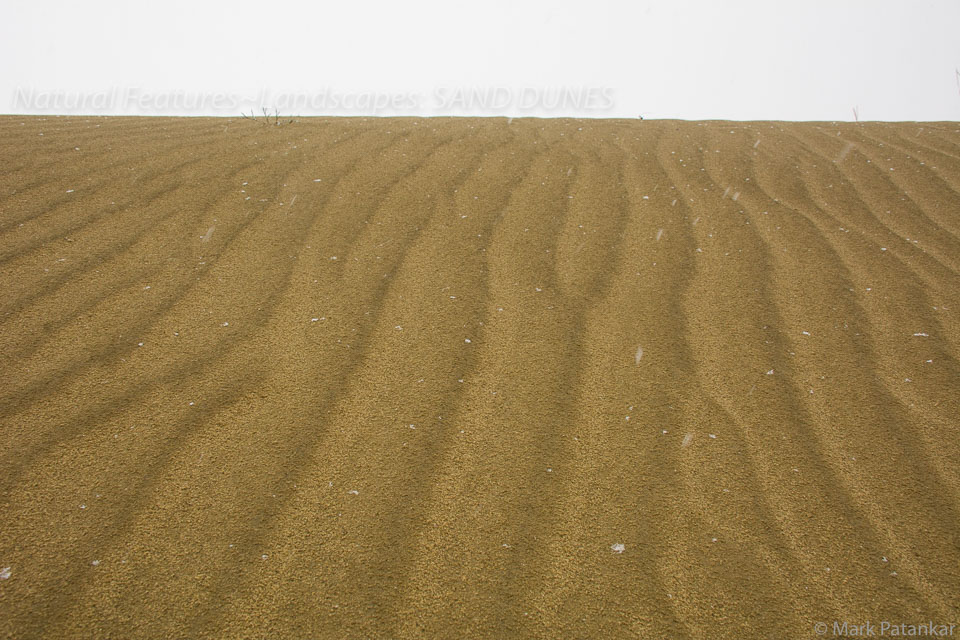 Sand-Dunes-37.jpg