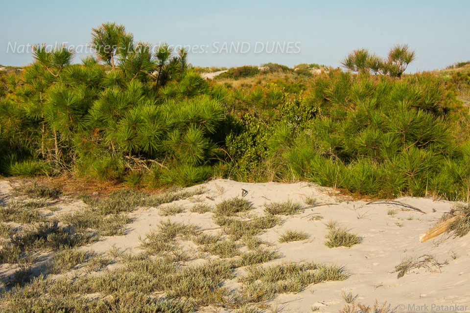 Sand-Dunes-39.jpg