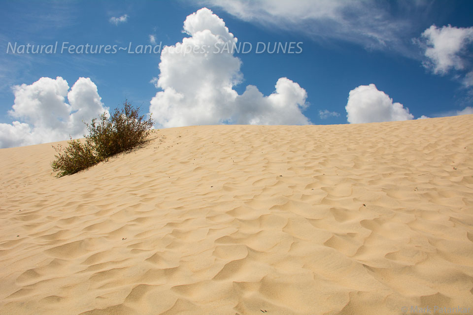 Sand-Dunes-40.jpg