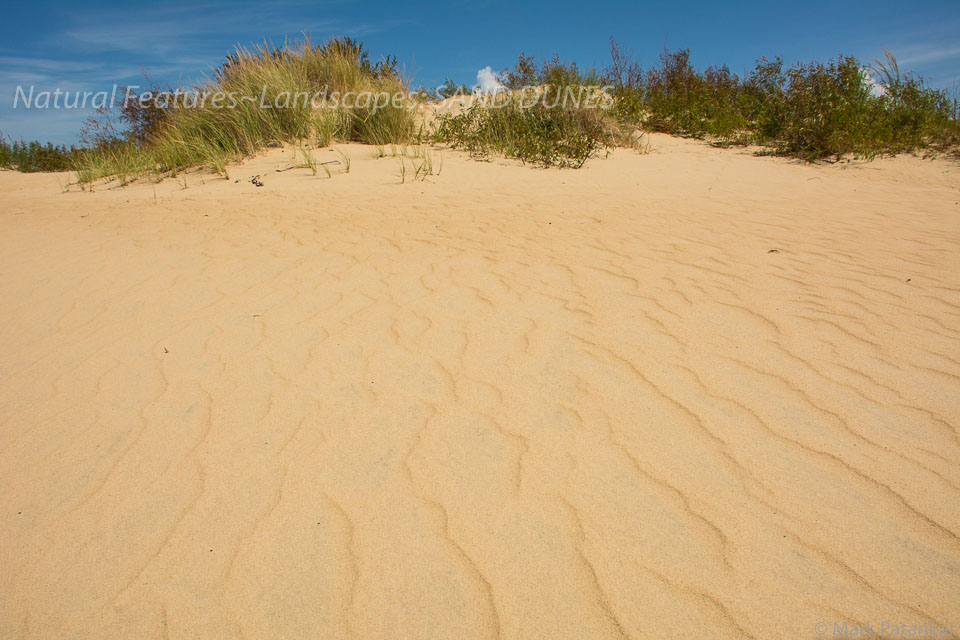 Sand-Dunes-42.jpg