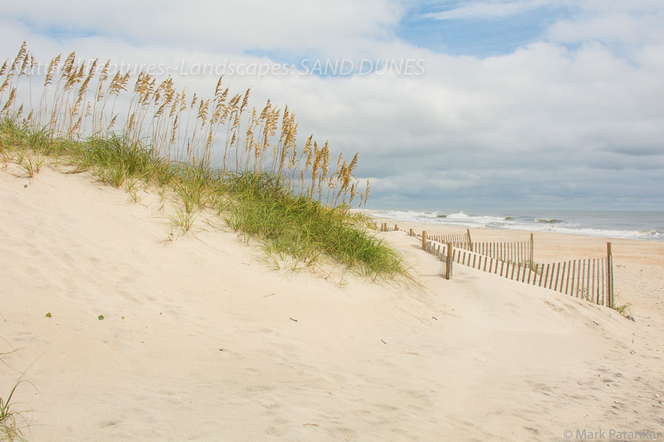 Sand-Dunes-44.jpg