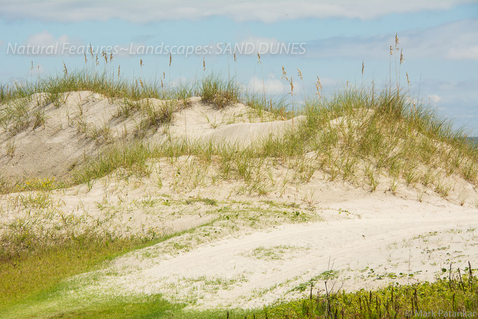 Sand-Dunes-46.jpg