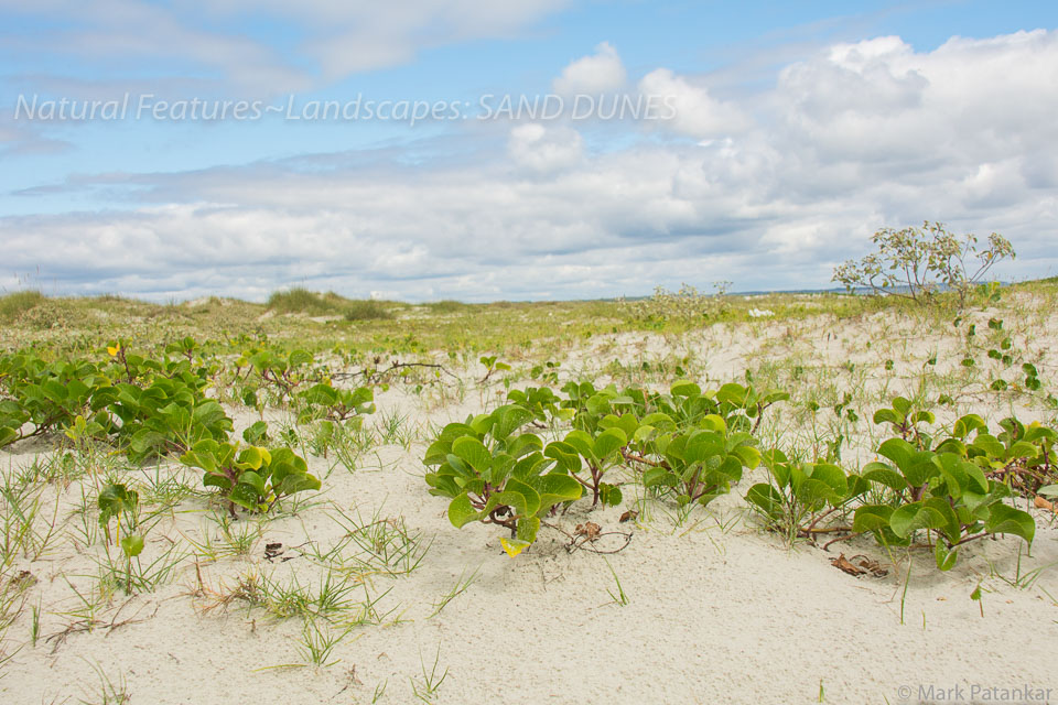 Sand-Dunes-47.jpg