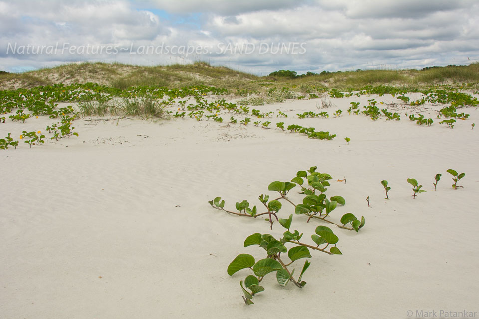 Sand-Dunes-49.jpg