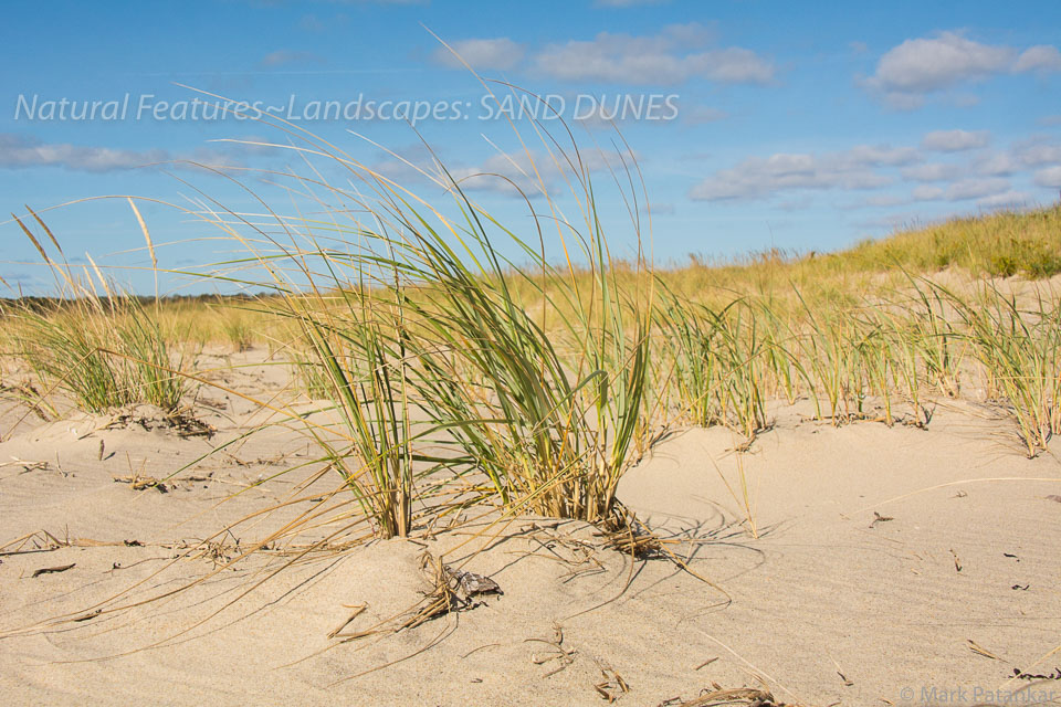 Sand-Dunes-51.jpg