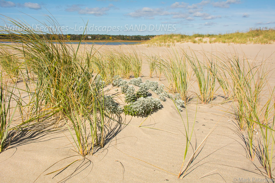 Sand-Dunes-52.jpg