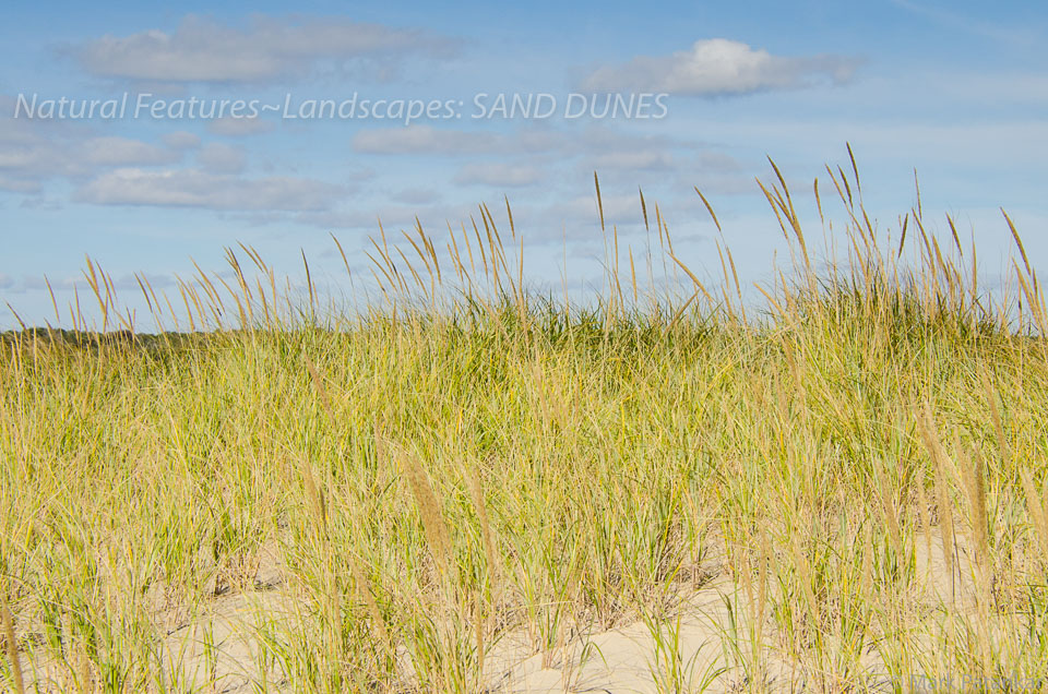 Sand-Dunes-53.jpg