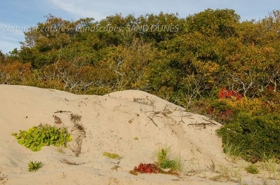 Sand-Dunes-55.jpg