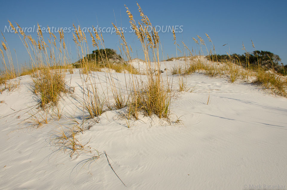 Sand-Dunes-57.jpg