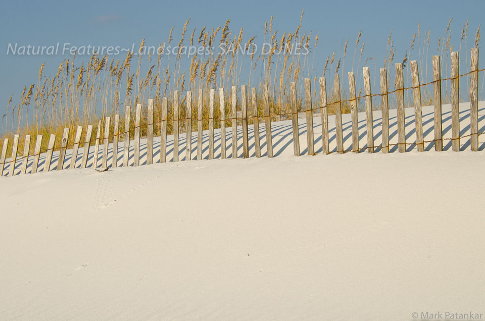 Sand-Dunes-58.jpg