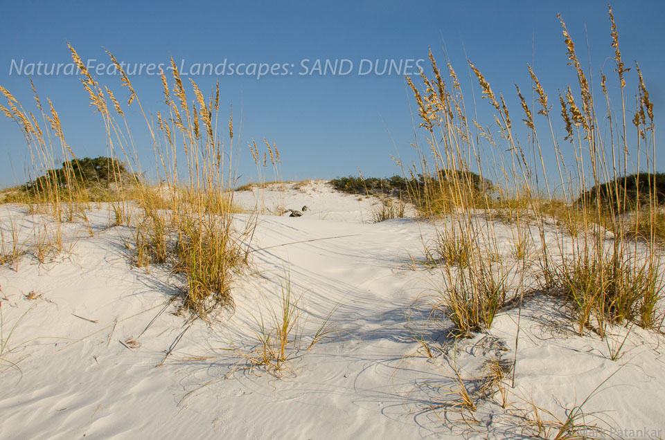 Sand-Dunes-59.jpg