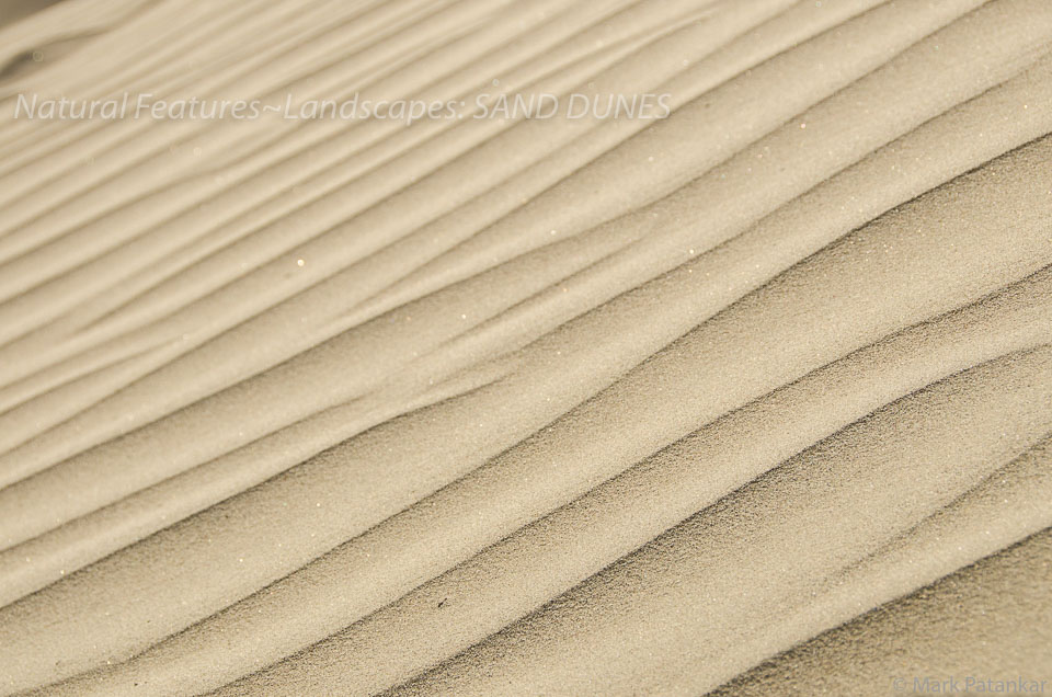 Sand-Dunes-6.jpg