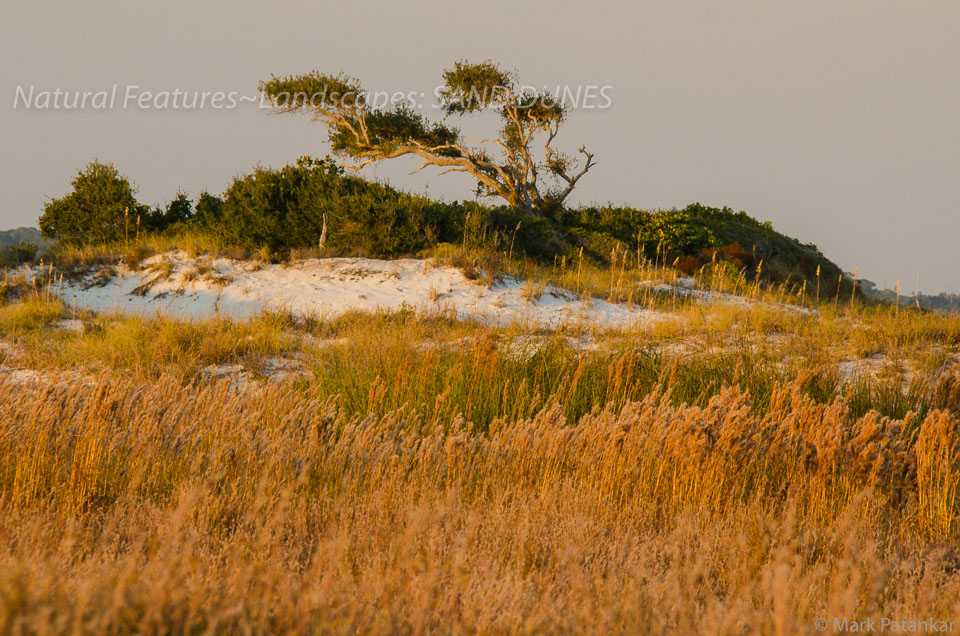 Sand-Dunes-60.jpg