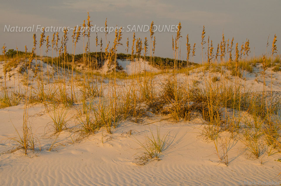 Sand-Dunes-61.jpg