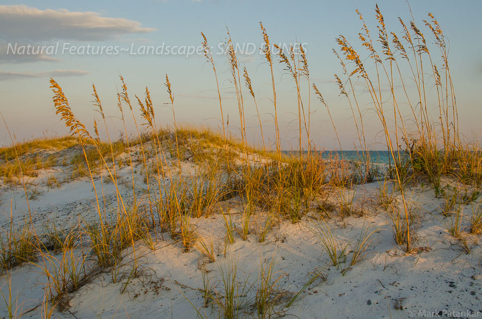 Sand-Dunes-62.jpg