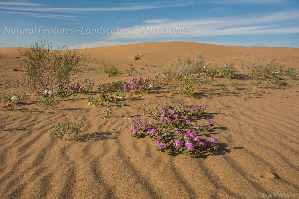 Sand-Dunes-66.jpg