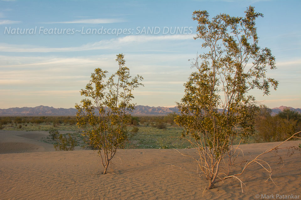 Sand-Dunes-69.jpg