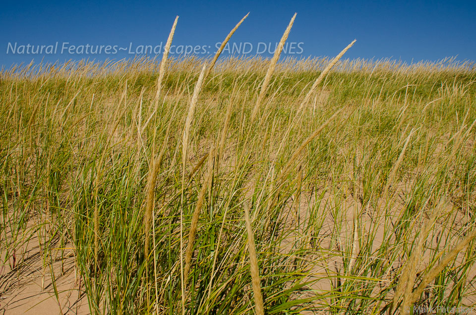 Sand-Dunes-7.jpg