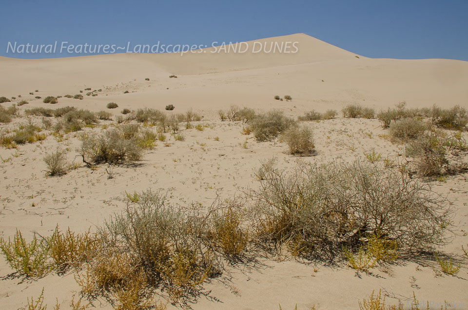 Sand-Dunes-72.jpg