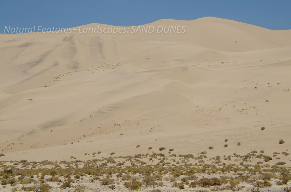 Sand-Dunes-74.jpg