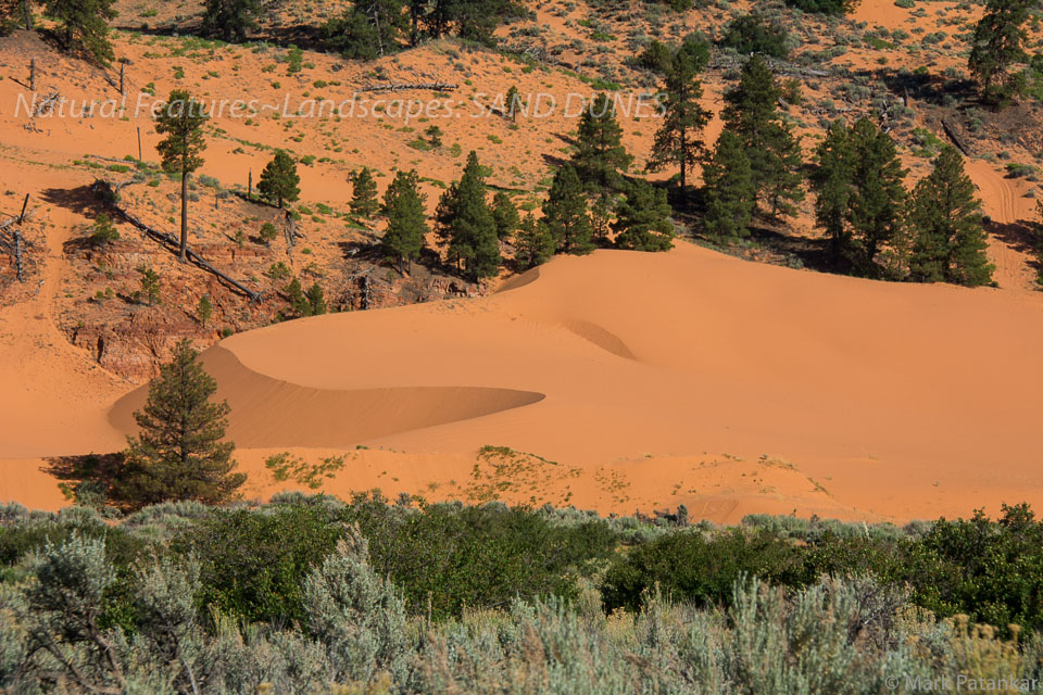 Sand-Dunes-76.jpg