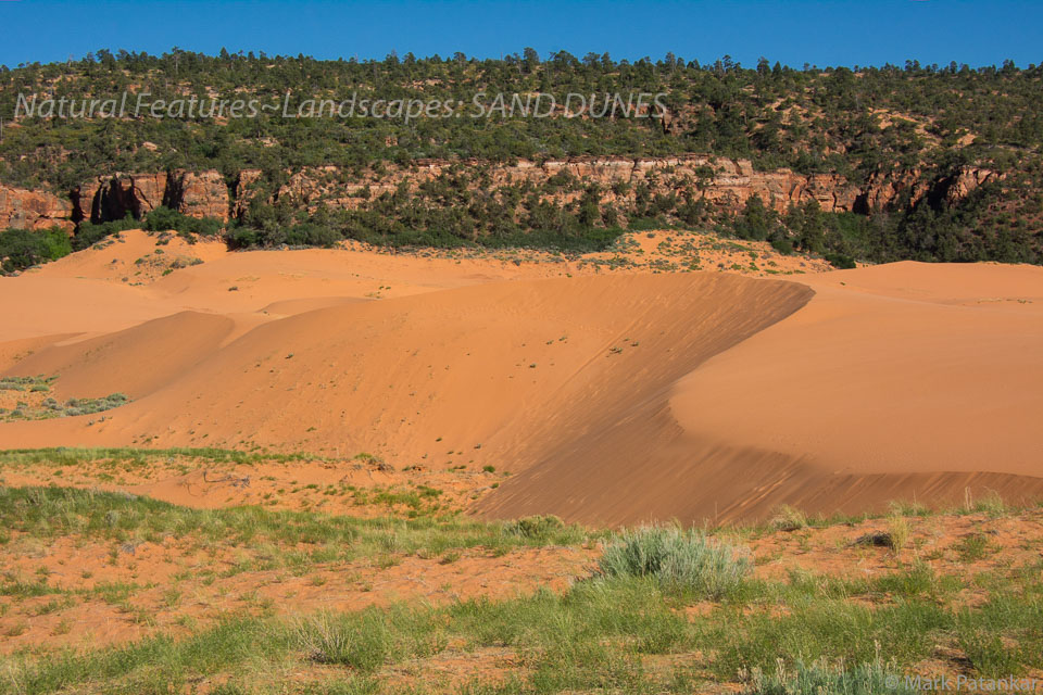 Sand-Dunes-77.jpg