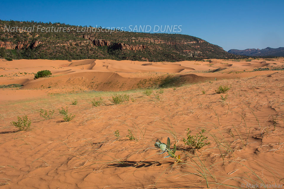 Sand-Dunes-78.jpg