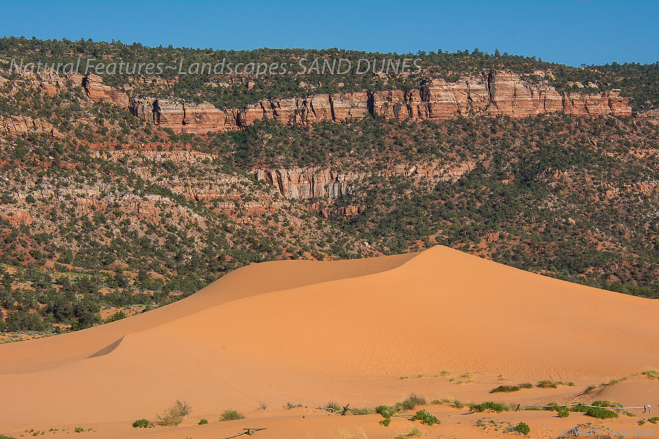 Sand-Dunes-79.jpg