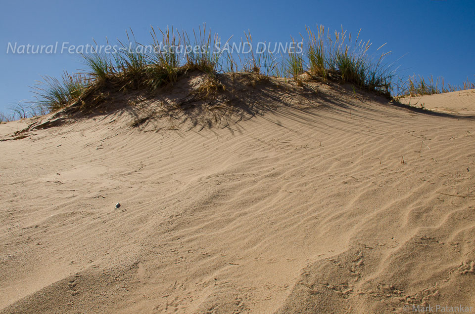 Sand-Dunes-8.jpg