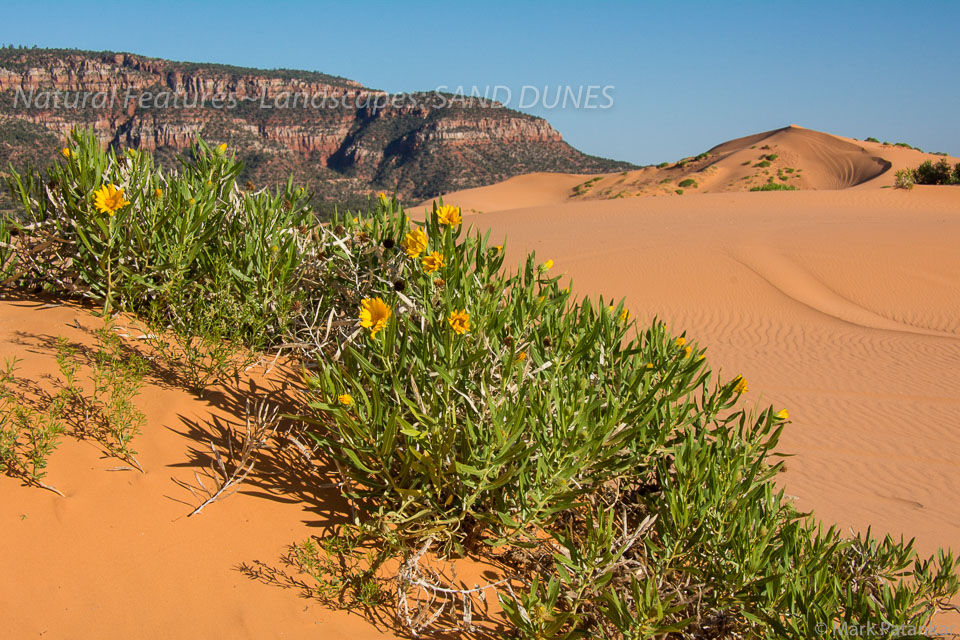 Sand-Dunes-81.jpg