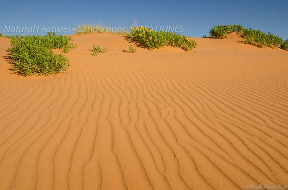 Sand-Dunes-82.jpg