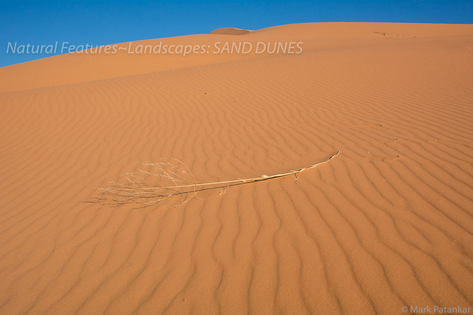 Sand-Dunes-84.jpg