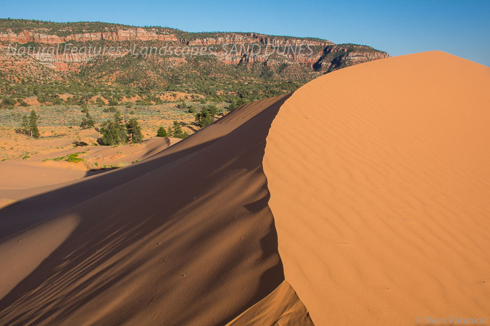 Sand-Dunes-87.jpg