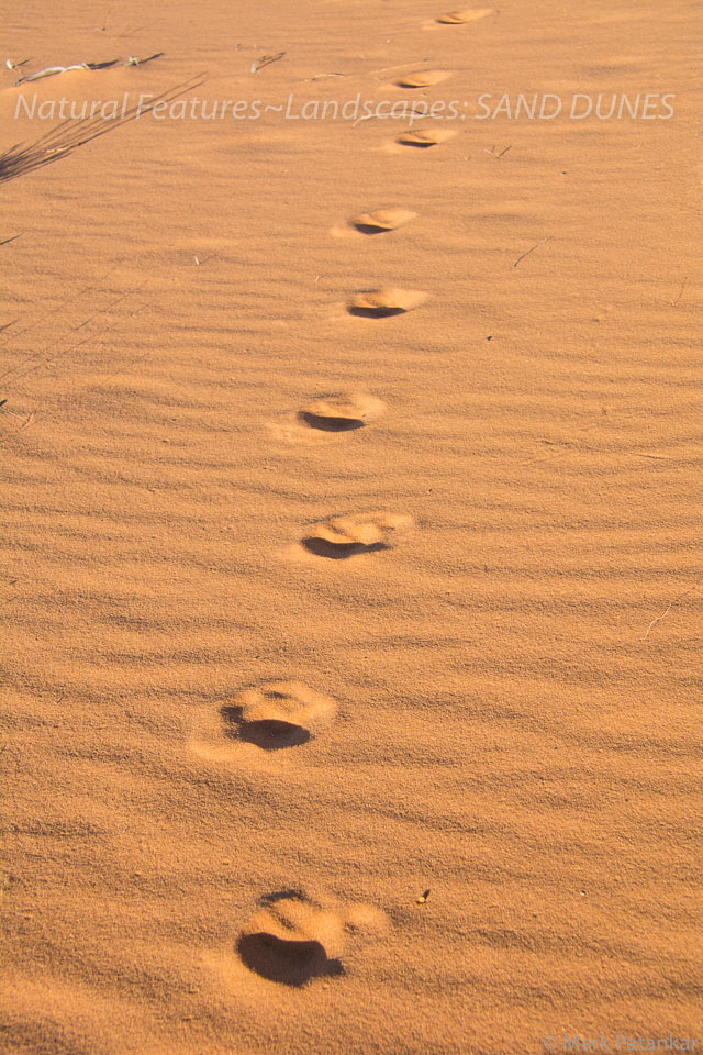 Sand-Dunes-88.jpg