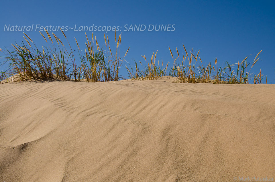 Sand-Dunes-9.jpg