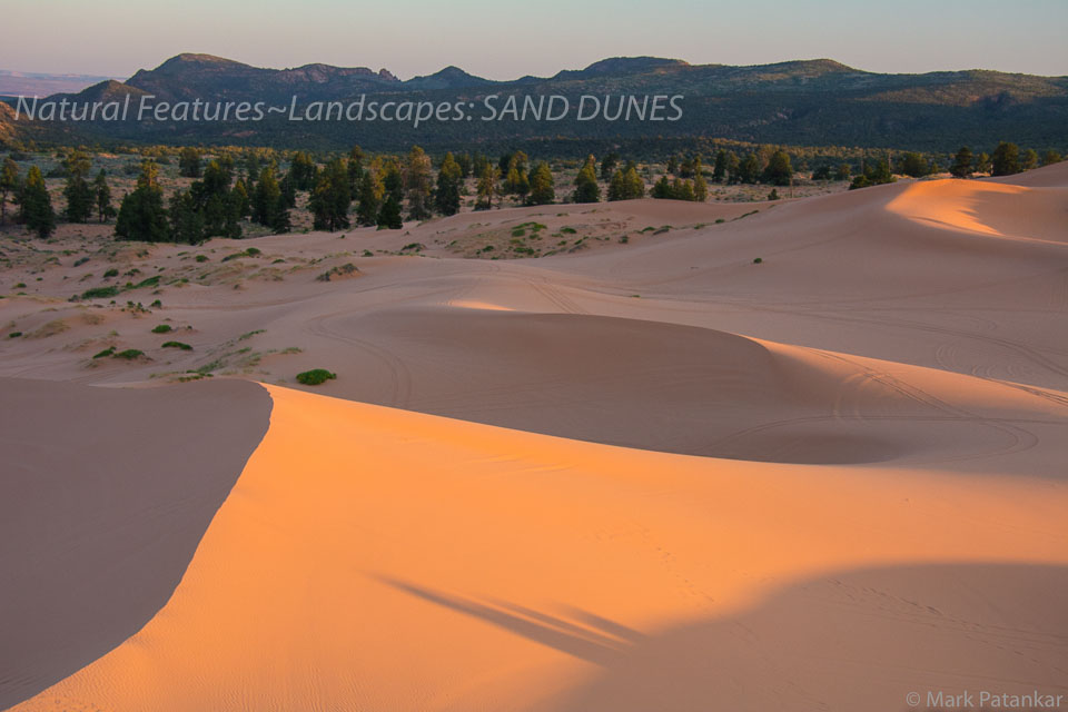 Sand-Dunes-93.jpg