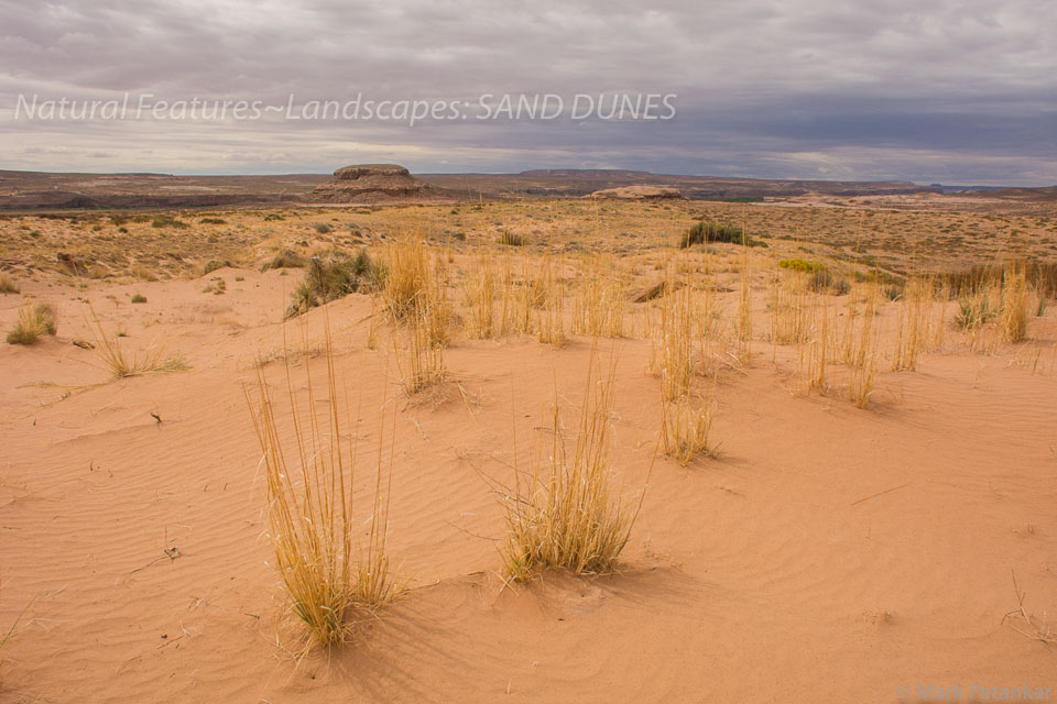 Sand-Dunes-95.jpg